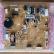 ( SP1259 ) Board Tủ Lạnh Toshiba GR- A25 / A28 / B22 / B31